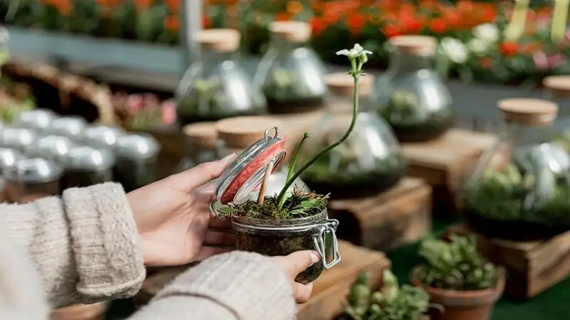 The Benefits of Plant Nurseries Webfreen.com